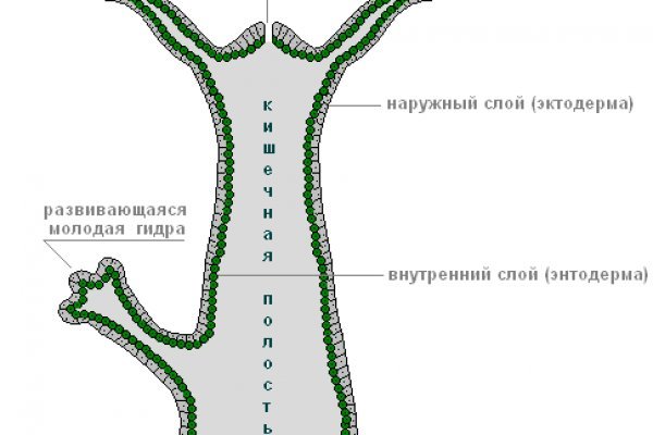 Кракен сайт 2krnk